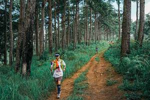 BIB: 
                            <button type="button" onclick="openModal(25740918)" class="btn btn-primary btn-sm float-right btn-popup" data-toggle="modal" data-target=".modal-high-quality">
                        <i class="fas fa-shopping-cart"></i> Add to Cart
                    </button>
                                            <button type="button" onclick="isThisMe(25740918, true)" class="btn btn-success btn-sm float-right btn-popup btn-isme hidden" data-toggle="tooltip" data-placement="bottom" title="นี่คือรูปของคุณใช่ไหม คลิกที่นี่เพื่อเอาเข้าอัลบั้ม">
                        <i class="fas fa-plus"></i> Add to album
                    </button>
                    <button type="button" onclick="isThisMe(25740918, false)" class="btn btn-warning btn-sm float-right btn-popup btn-isnotme hidden">
                        <i class="fas fa-ban"></i> Remove from album
                    </button>